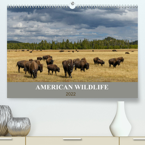 American Wildlife (Premium, hochwertiger DIN A2 Wandkalender 2022, Kunstdruck in Hochglanz) von Heeb,  Christian