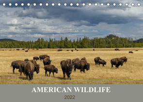 American Wildlife (Tischkalender 2022 DIN A5 quer) von Heeb,  Christian