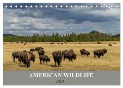 American Wildlife (Tischkalender 2024 DIN A5 quer), CALVENDO Monatskalender von Heeb,  Christian