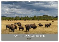 American Wildlife (Wandkalender 2024 DIN A2 quer), CALVENDO Monatskalender von Heeb,  Christian
