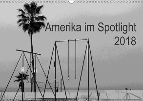 Amerika im Spotlight (Wandkalender 2018 DIN A3 quer) von Zannini,  Patrizia