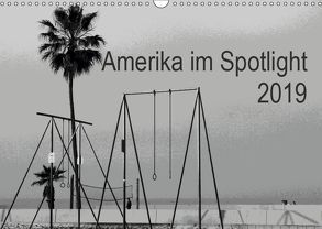 Amerika im Spotlight (Wandkalender 2019 DIN A3 quer) von Zannini,  Patrizia