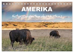Amerika – Naturschönheiten des Westens (Tischkalender 2024 DIN A5 quer), CALVENDO Monatskalender von Heidorn,  Fabienne