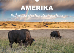Amerika – Naturschönheiten des Westens (Wandkalender 2023 DIN A3 quer) von Heidorn,  Fabienne