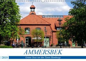 Ammersbek – Grüne Oase vor den Toren Hamburgs (Wandkalender 2019 DIN A3 quer) von von Loewis of Menar,  Henning