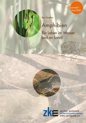 Amphibien von Gnehm,  Res
