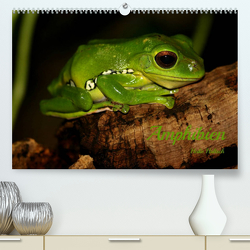 Amphibien (Premium, hochwertiger DIN A2 Wandkalender 2023, Kunstdruck in Hochglanz) von Hultsch,  Heike
