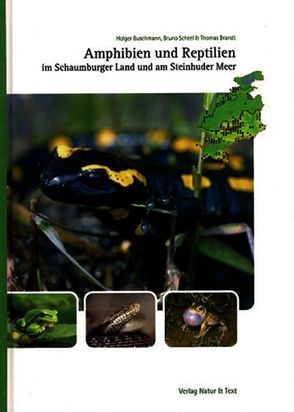 Amphibien und Reptilien im Schaumburger Land und am Steinhuder Meer von Brandt,  Thomas, Buschmann,  Holger, Scheel,  Bruno