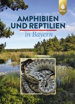 Amphibien und Reptilien in Bayern von Andrä,  Eberhard, Aßmann,  Otto, Dürst,  Thomas, Hansbauer,  Günter, Zahn,  Andreas