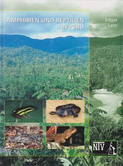 Amphibien und Reptilien in Peru von Lehr,  Edgar