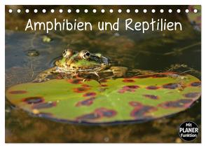 Amphibien und Reptilien (Tischkalender 2024 DIN A5 quer), CALVENDO Monatskalender von Schmutzler-Schaub,  Christine