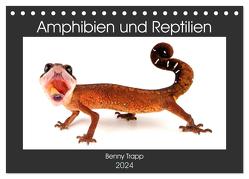 Amphibien und Reptilien (Tischkalender 2024 DIN A5 quer), CALVENDO Monatskalender von Trapp,  Benny