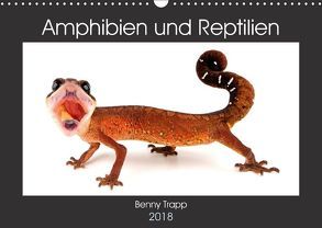 Amphibien und Reptilien (Wandkalender 2018 DIN A3 quer) von Trapp,  Benny