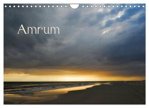 Amrum (Wandkalender 2024 DIN A4 quer), CALVENDO Monatskalender von Kienitz,  Carsten