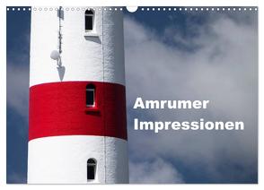 Amrumer Impressionen (Wandkalender 2024 DIN A3 quer), CALVENDO Monatskalender von Kalytta,  Ralf