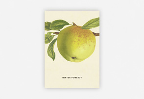 An Apple a Day 2020 – Postkartenset