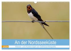 An der Nordseeküste – Wasser- und Küstenvögel fotografiert von Ostfriesenfotografie (Wandkalender 2024 DIN A3 quer), CALVENDO Monatskalender von Betten - Ostfriesenfotografie,  Christina