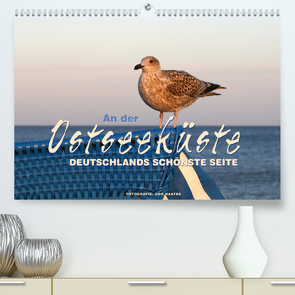 An der Ostseeküste – Deutschlands schönste Seite (Premium, hochwertiger DIN A2 Wandkalender 2023, Kunstdruck in Hochglanz) von Haafke,  Udo