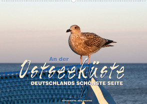 An der Ostseeküste – Deutschlands schönste Seite (Wandkalender 2023 DIN A2 quer) von Haafke,  Udo