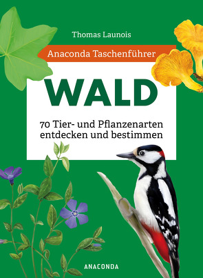 Anaconda Taschenführer Wald von Launois,  Thomas, Nitsch,  Xavier, Padié,  Sophie, Peyrot,  Morgane, Zettel,  Charles