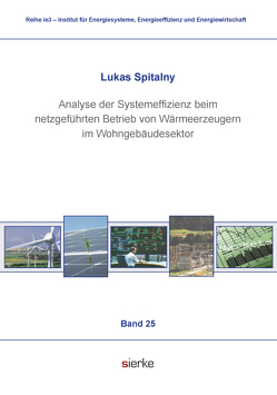 Analyse der Systemeffizienz beim netzgeführten Betrieb von Wärmeerzeugern im Wohngebäudesektor von Spitalny,  Lukas