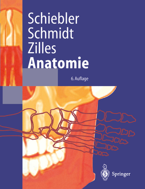 Anatomie von Schiebler,  Theodor H, Schmidt,  Walter, Zilles,  Karl