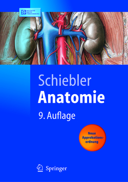 Anatomie von Schiebler,  T.H.