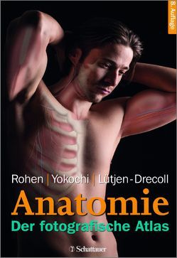 Anatomie des Menschen von Lütjen-Drecoll,  Elke, Rohen,  Johannes W, Yokochi,  Chihiro M.D.