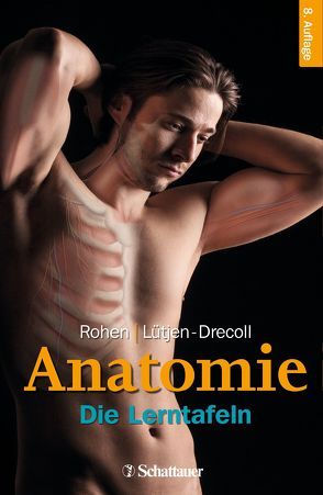 Anatomie von Lütjen-Drecoll,  Elke, Rohen,  Johannes W