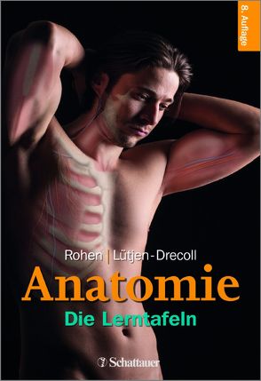 Anatomie von Lütjen-Drecoll,  Elke, Rohen,  Johannes W