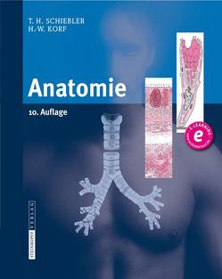 Anatomie von Korf,  Horst-W., Schiebler,  Theodor H