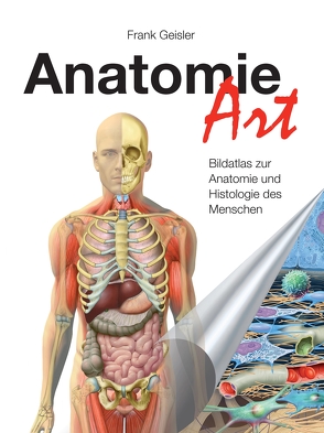 Anatomie-Art von Geisler,  Frank