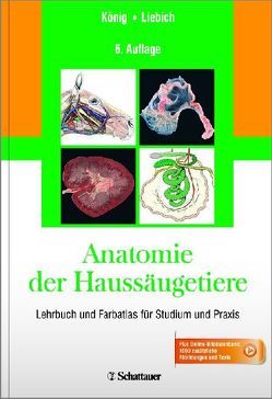 Anatomie der Haussäugetiere von König,  Horst Erich, Liebich,  Hans-Georg