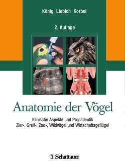 Anatomie der Vögel von König,  Horst Erich, Korbel,  Rüdiger T., Liebich,  Hans-Georg