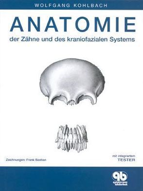Anatomie der Zähne und des kraniofazialen Systems von Kohlbach,  Wolfgang