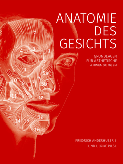 Anatomie des Gesichts von Anderhuber,  Friedrich, Pilsl,  Ulrike