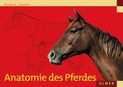 Anatomie des Pferdes von Goody,  Peter C.