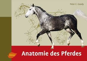 Anatomie des Pferdes von Goody,  Peter C.