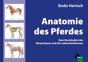 Anatomie des Pferdes von Hertsch,  Bodo, Spenlen,  Uwe