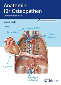 Anatomie für Osteopathen von Corts,  Margarethe