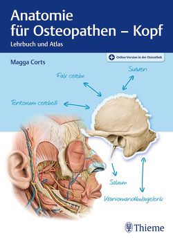 Anatomie für Osteopathen – Kopf von Corts,  Margarethe