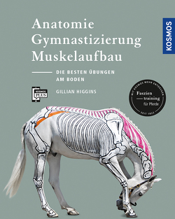 Anatomie, Gymnastizierung, Muskelaufbau von Higgins,  Gillian