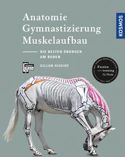 Anatomie, Gymnastizierung, Muskelaufbau von Higgins,  Gillian