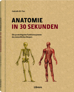 Anatomie in 30 Sekunden von FINN,  GABRIELLE M.