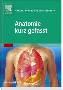 Anatomie kurz gefasst von Herbold,  D., Lippert,  Herbert, Lippert-Burmester,  W.