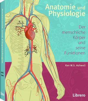 Anatomie und Physiologie von Ashwell,  Ken
