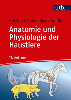 Anatomie und Physiologie der Haustiere von Gäbel,  Gotthold, Loeffler,  Klaus, Pfannkuche,  Helga