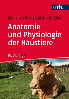 Anatomie und Physiologie der Haustiere von Gäbel,  Gotthold, Loeffler,  Klaus