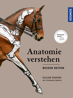 Anatomie verstehen – besser reiten von Higgins,  Gillian