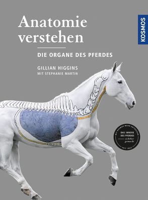 Anatomie verstehen – Die Organe des Pferdes von Higgins,  Gillian